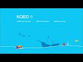KQED ID 2020 17