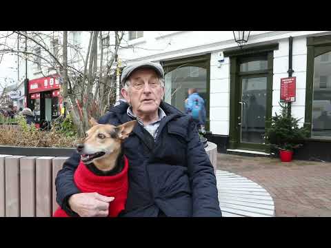 Pick of the litter: Millie the dog collects rubbish and puts it in the bin!