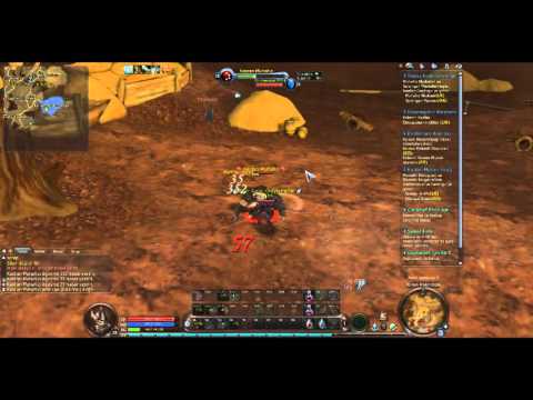 Aion Templar 28-29 Level