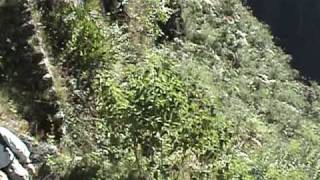 Wayna Pichu backdown