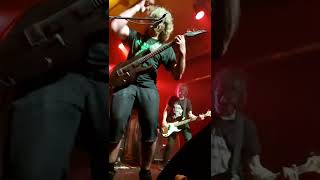 STUPID WORLD~ Dayglo Abortions