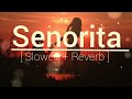 Senorita [ Slowed + reverb ]- Zindagi Na Milegi Dobara