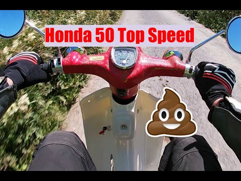 Honda C50 Top Speed and Avoiding Horse 💩