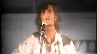 Townes Van Zandt &quot;Blue Wind Blues&quot;