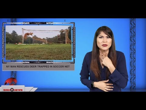 Sign1News 8.23.19 - News for the Deaf community powered by CNN in American Sign Language (ASL).