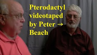 Pterodactyl in a Jungle