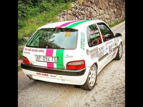 52° Rally Valli Ossolane 2016 - Camera Car (Filisetti - Filisetti)