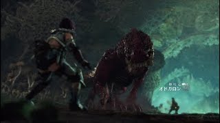 [本編]『オドガロン討伐！！』「瘴気の谷とは？」【MHW】＃１０