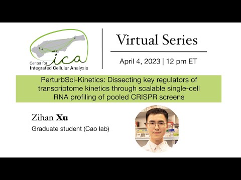 CICA Virtual Seminar Series- Xu- 4/4/2023