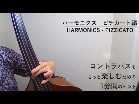 【コントラバス】〔3〕ハーモニクス ピチカート編 | Harmonics - Pizzicato【Contrabass】