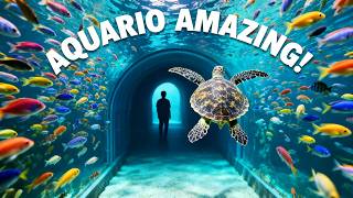 Download lagu AquaRio- One of the best experiences i have had!  #rio #pinoyyoutuber #travel mp3