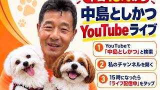 参政党　津幡町議会議員　中島としかつ がライブ配信中！