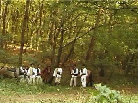 Obârşia - Frunzuliţă măgheran