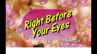 Right Before Your Eyes - America (KARAOKE VERSION)