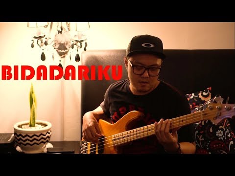THE FLY - BIDADARIKU (Live Acoustic)