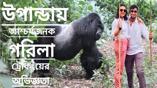 উগান্ডায় আশ্চর্যজনক গরিলা ট্রেকিংয়ের অভিজ্ঞতা | Bengali Vlog |Gorilla Trekking | King Kong