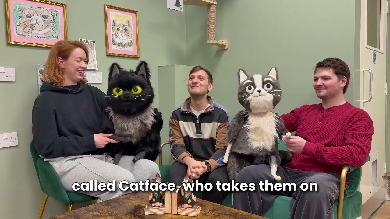 The cast (and some cats!) tell you about the show