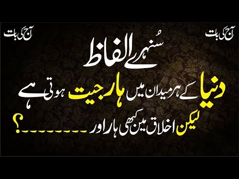 Urdulife Novyj Trend Smotret Onlajn Na Sajte Trendovi Ru