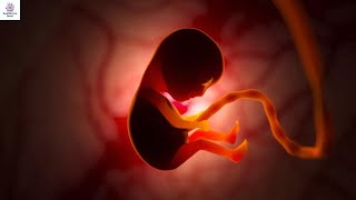 Healthy Pregnancy Symptoms and Baby Development