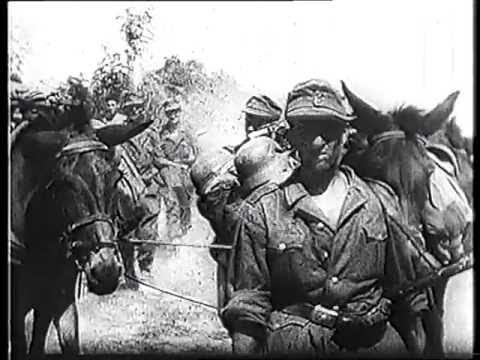 Hitlers Eliten nach 1945: Journalisten - Diener der Macht