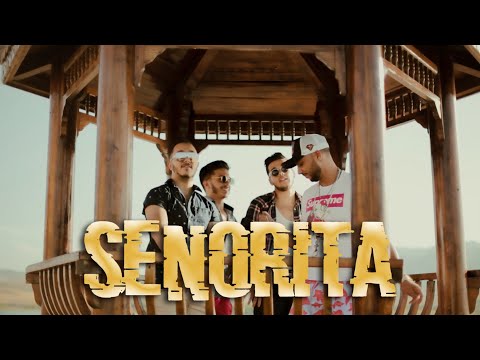 Driver, Faycal - Señorita (Official Music Video)