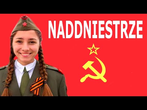 100 SHOCKING FACTS ABOUT THE SURFACE.