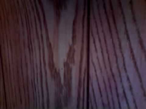 i wonder - tooney tombz ft Relic