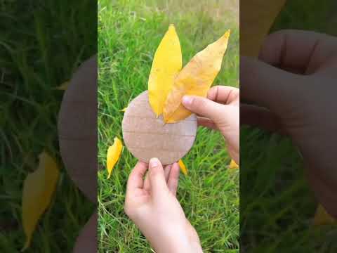 Bingung cari aktivitas seru untuk si kecil di rumah? Coba ide bermain kreatif ini, pasti bikin mereka betah! 🎨✨