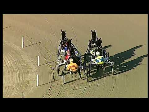 Napoli Trotto 19/02/2021 - 6ª corsa