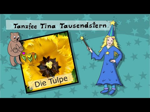 Die Tulpe - Wissen für Kinder 🌷