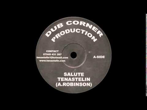 Tena Stelin   Salute DUB CORNER 10