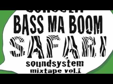 Le Son que J'aime -  FunkyFlip ft. le FunkLion - Collectif Bass ma Boom Sound System