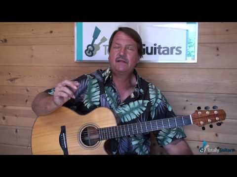 Mr. Soul - Guitar Lesson Preview