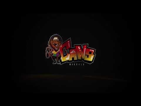 YMC ANT X YMC TEZ - Grooving