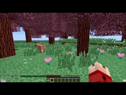 SMP Redcraft Episode0: Discontinued
