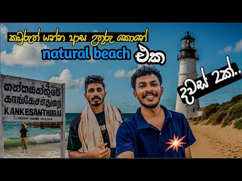 What to Do in KKS, Jaffna | Beach, Culture & Local Adventures | Places to Visit Jaffna #travel