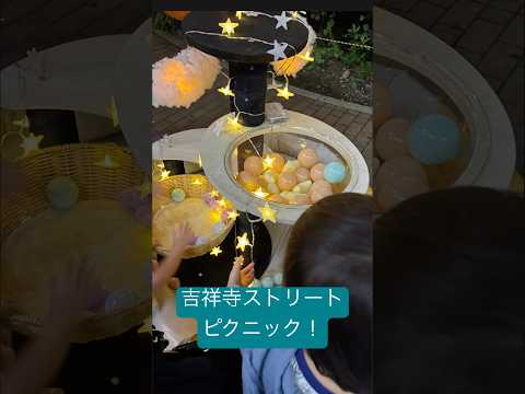 政治学科 吉祥寺ストリートピクニック、参加してきました！