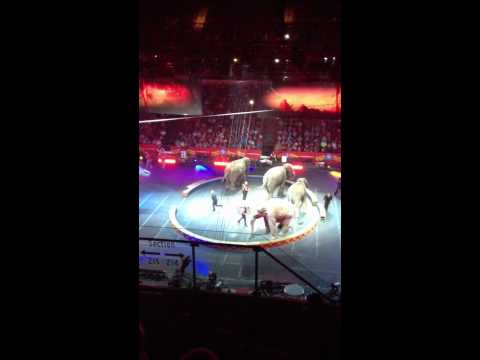 Ringling Bros. Circus