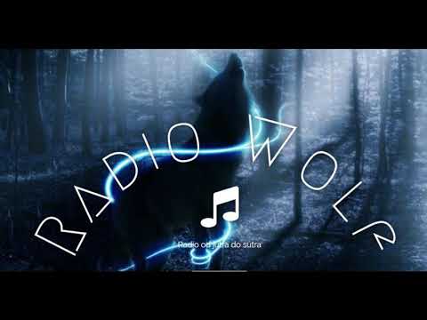 Nedeljko Bajić Baja - Varalica