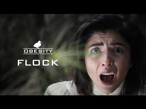 OBESITY - Flock (Official Video)