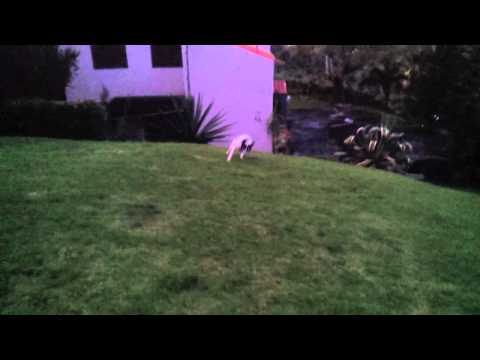 The meaning of Excitement