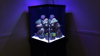 How To Start A Reef Tank Marineland 37 gallon Cube: Reef Build