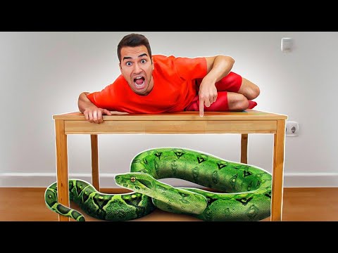 SCHERZO A MOLLY - SERPENTE IN CASA!!