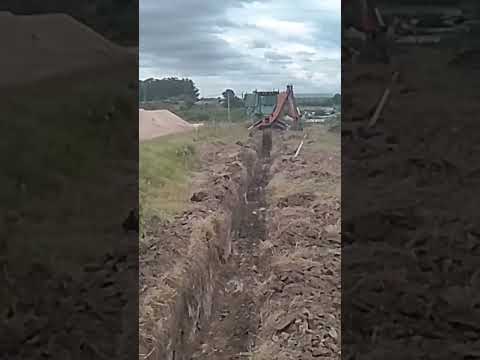 "Jacaranda" #soriano #mercedes #uruguay