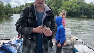 Wallie fishin today !! 😛🤨🧐😜