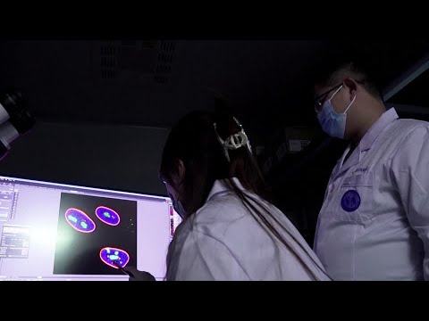 中国の科学者が老化を遅らせる遺伝子治療を開発 (Chinese scientists develop gene therapy which could delay ageing)