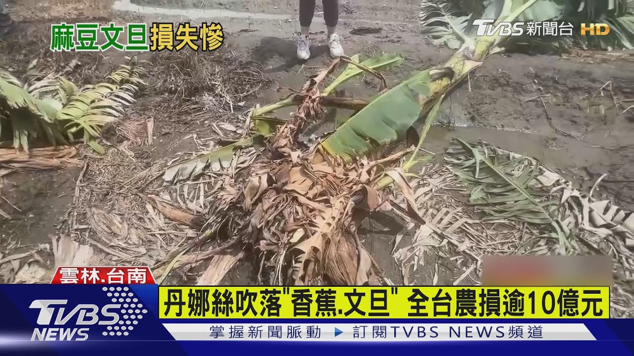 丹娜絲颱風重創農業!全台損失破10億 三縣市占98%