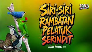 Download lagu MASTERAN BURCIL NEMBAK TAJAM!! SATU JALUR JEDA TERAPI AIR mp3 Download lagu MASTERAN BURCIL NEMBAK TAJAM!! SATU JALUR JEDA TERAPI AIR mp3