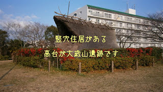 2017.1.3 海峡と風のみち:JR朝霧駅から多聞寺へ