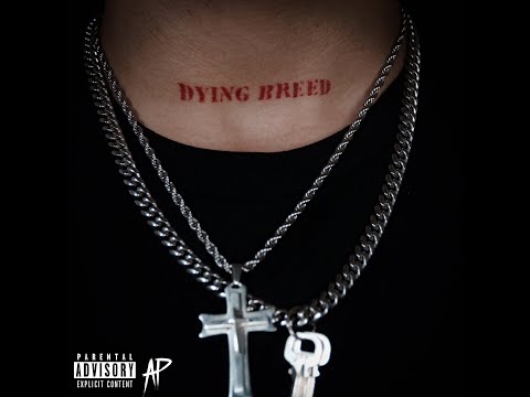 Blaine - Business Man [Feat. Bandhunta Izzy] (Official Audio)